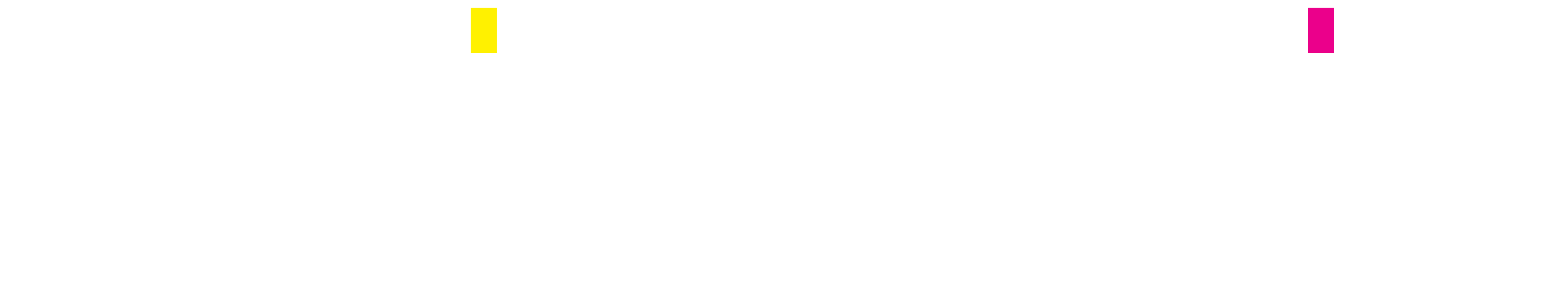 Karizmatic